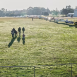 AOPA NZ - Hastings airport BBQ lunch and executive meet and greet